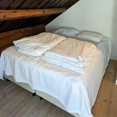 Large House With Private Dock In Blindleia *
